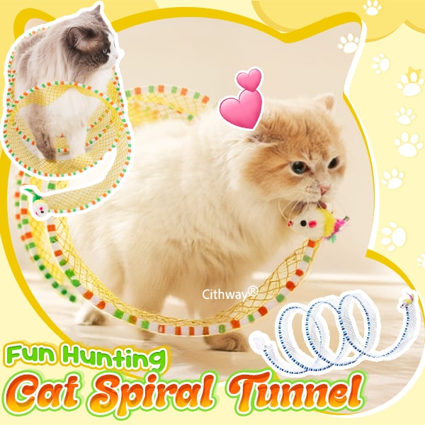 Cat Self Play Spiral Kitten Collapsible Spring Tunnel Toy for Indoor Cats with Feather and Bell
