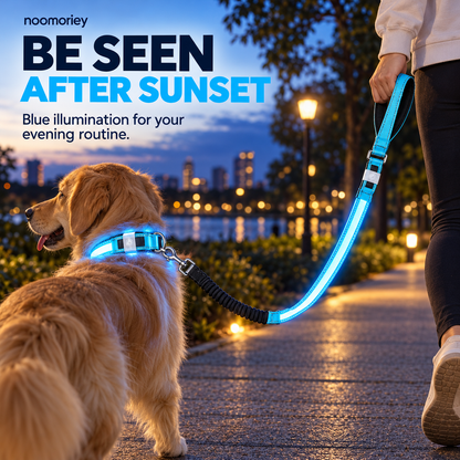 🐾 Rechargeable LED Dog Collar & Bungee Leash Set