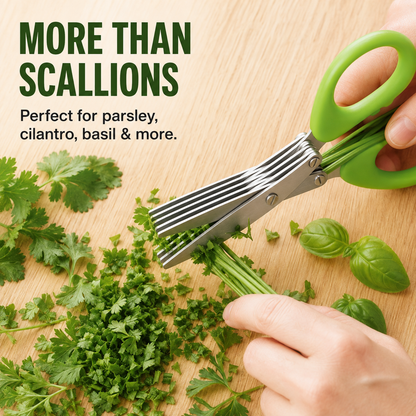 Stainless Steel 5 Blades Scallion Cutter Scissors