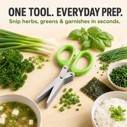 Stainless Steel 5 Blades Scallion Cutter Scissors