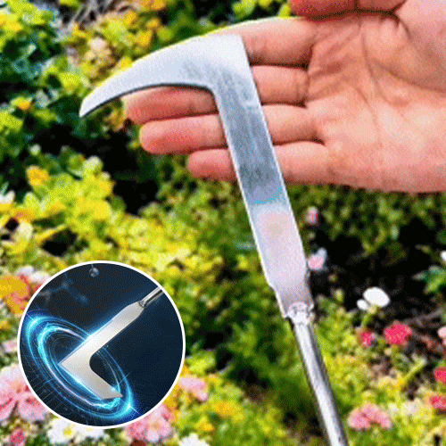 L-Shaped Stainless Steel Crevice Weeding Tool