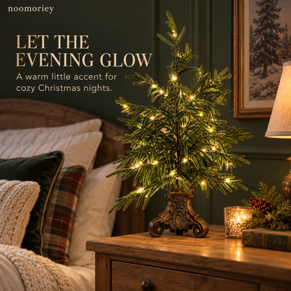 Vintage Lighted Norfolk Pine Trees