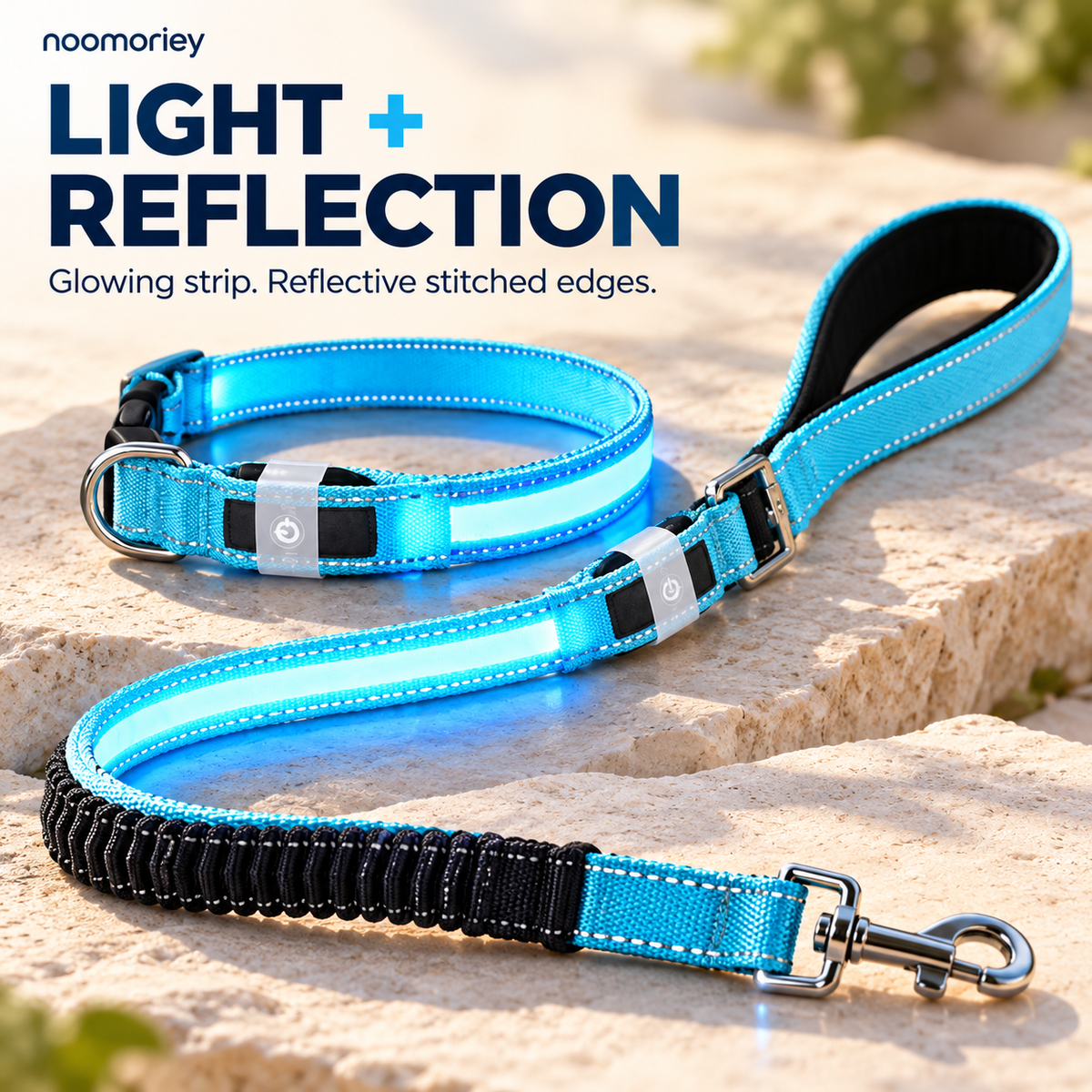 🐾 Rechargeable LED Dog Collar & Bungee Leash Set