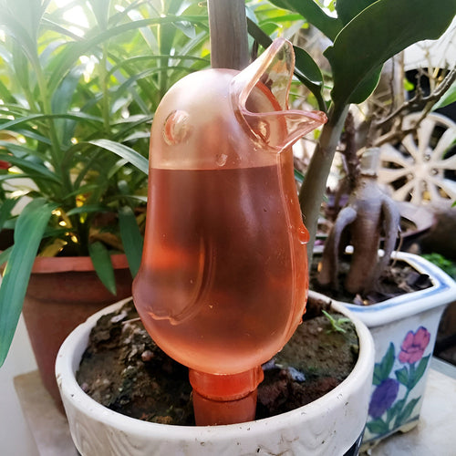 ✨Birdie Type Automatic Flower Waterer✨