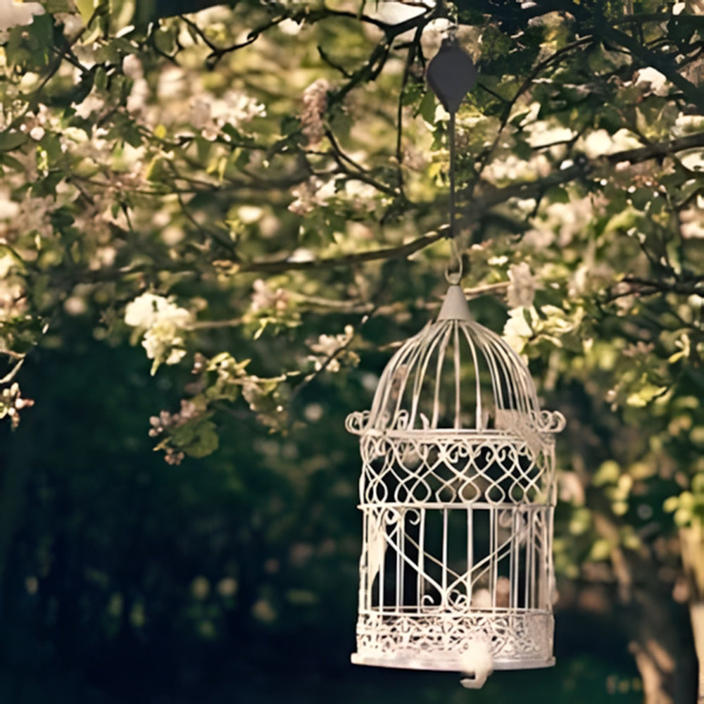 🌳Garden Plant Pulley Set for Hanging Baskets, Pots & Bird Feeders