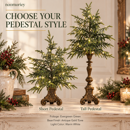 Vintage Lighted Norfolk Pine Trees