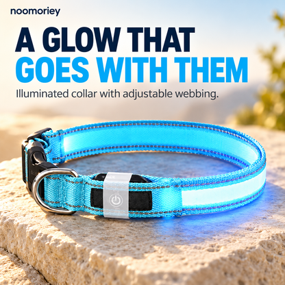 🐾 Rechargeable LED Dog Collar & Bungee Leash Set