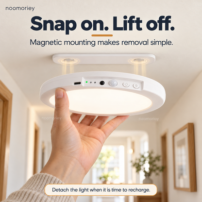 Rechargeable Motion Sensor Ceiling Lamp