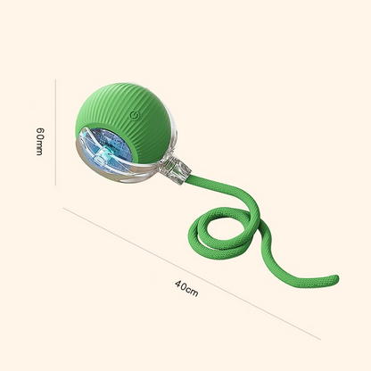 Interactive Cat & Dog Teaser Toy