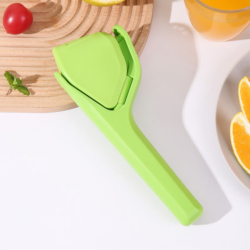 Stainless Steel Citrus Juicer