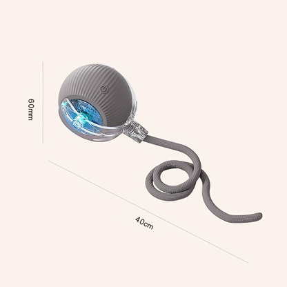 Interactive Cat & Dog Teaser Toy