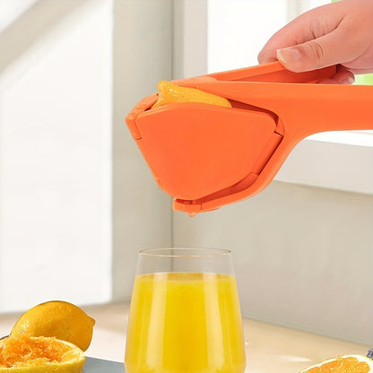 Stainless Steel Citrus Juicer