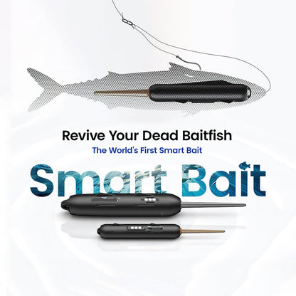 Electric Live Bait Reviver Fishing Gear 🎣