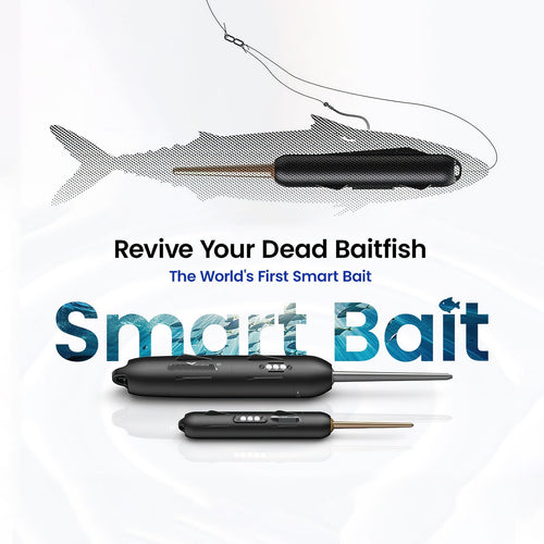 Electric Live Bait Reviver Fishing Gear 🎣