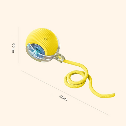 Interactive Cat & Dog Teaser Toy