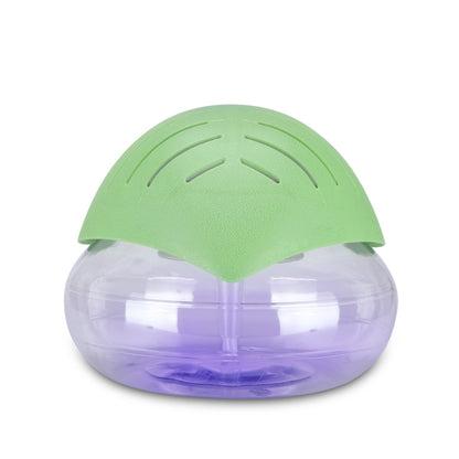 Air Purifier & Aromatherapy Diffuser