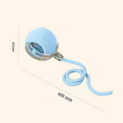 Interactive Cat & Dog Teaser Toy