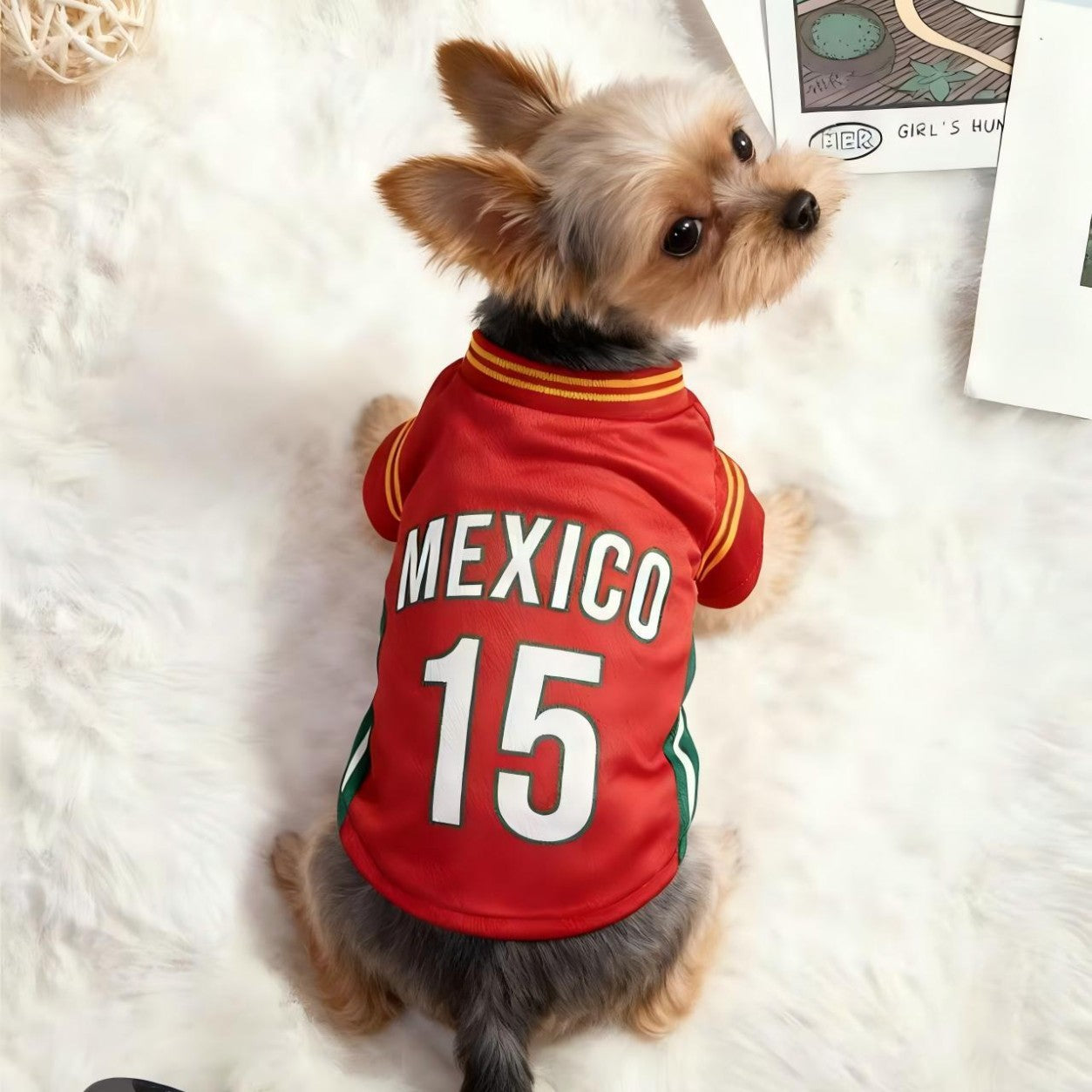 ⚽🐾 2026 North America Football Fan Pet Jersey