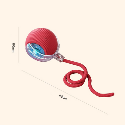 Interactive Cat & Dog Teaser Toy