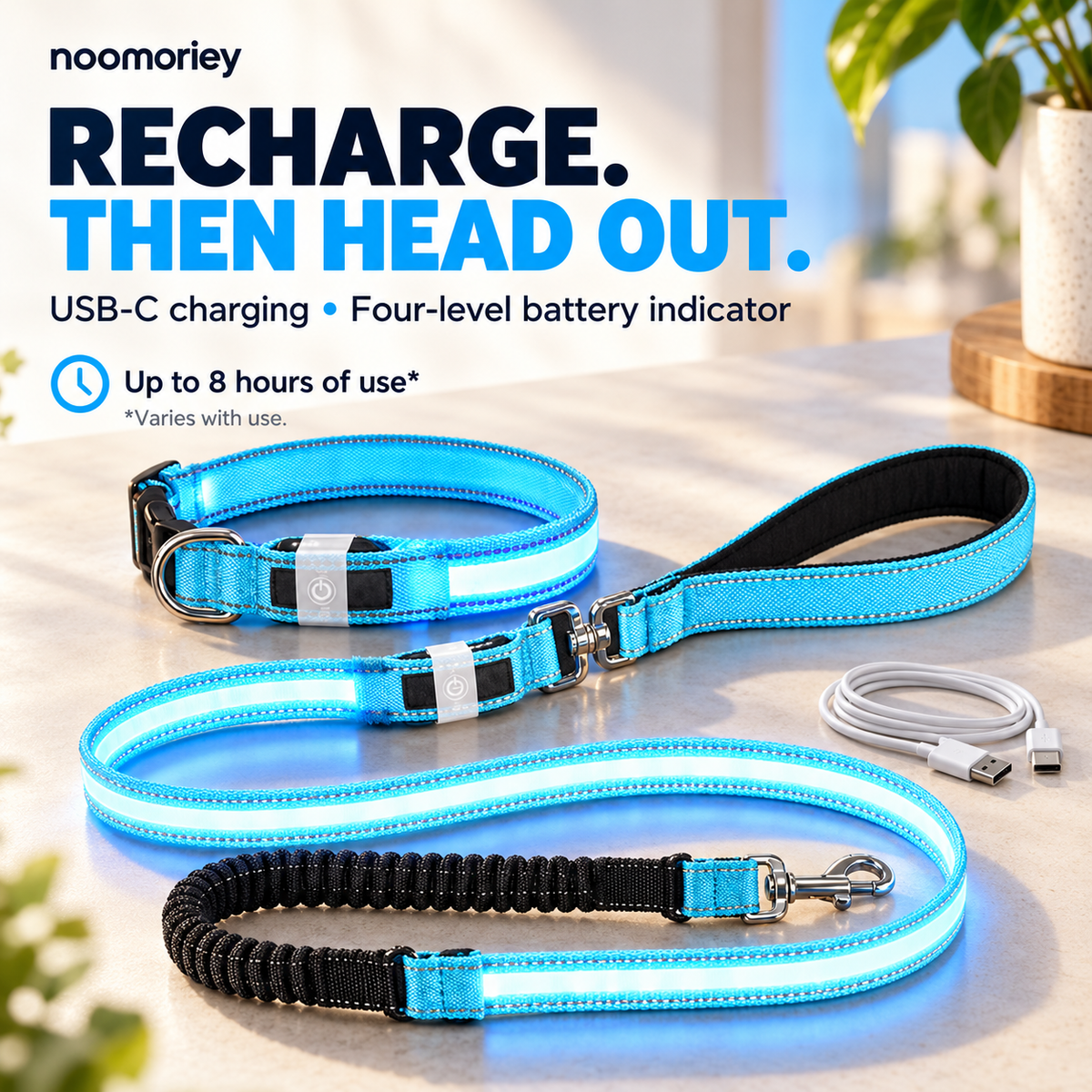🐾 Rechargeable LED Dog Collar & Bungee Leash Set