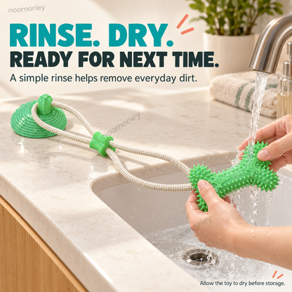 Interactive Suction Cup Dog Tug Toy – Braided Rope Chew Toy with Textured Bite Grip for Indoor Play