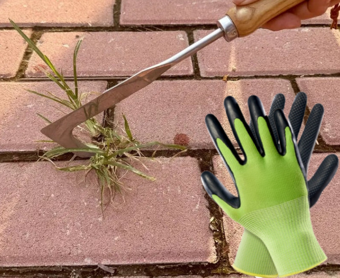 L-Shaped Stainless Steel Crevice Weeding Tool