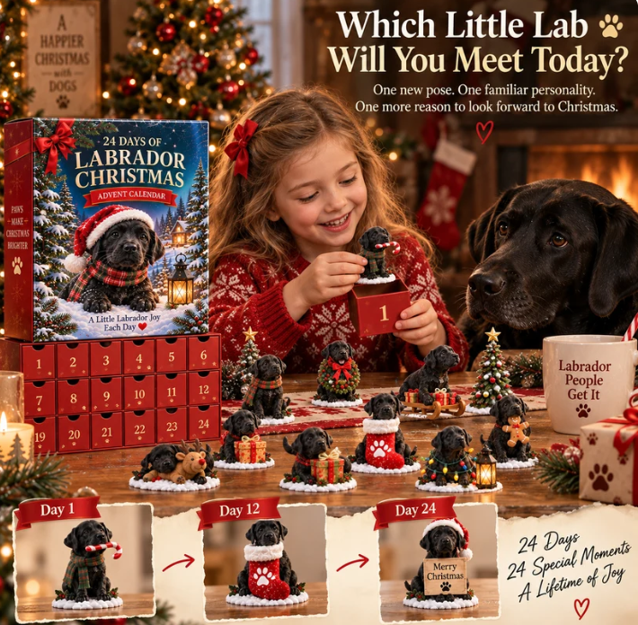 24 Days of Labrador Christmas – Black Lab Advent Calendar 🐾🎄