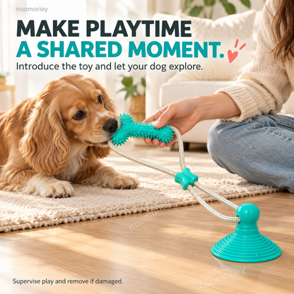 Interactive Suction Cup Dog Tug Toy – Braided Rope Chew Toy with Textured Bite Grip for Indoor Play