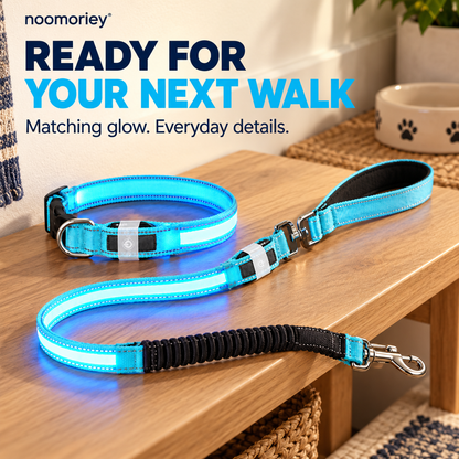 🐾 Rechargeable LED Dog Collar & Bungee Leash Set