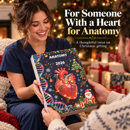 🎄 Anatomy Christmas Advent Calendar – Unique Organ-Shaped Ornaments & Holiday Surprises for Nurses, Medical Students & Science Lovers ！！！🎁