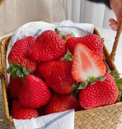 🏆Flash Sale⚡ 50K+ SOLD! Almost Gone-💥🔥All-year-round strawberry seeds🍓,Best Gifts