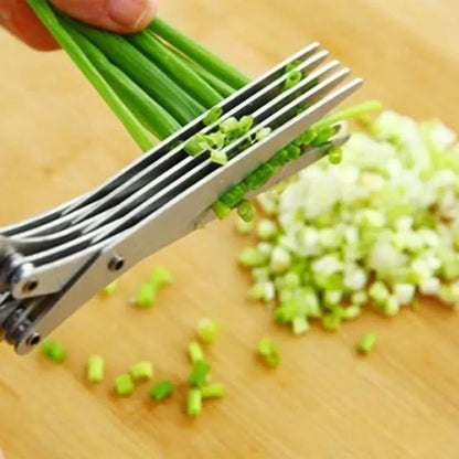 Stainless Steel 5 Blades Scallion Cutter Scissors