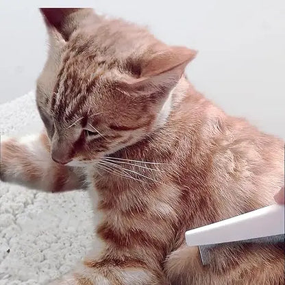 🐕🛡️2 Pack Multifunctional Pet Comb