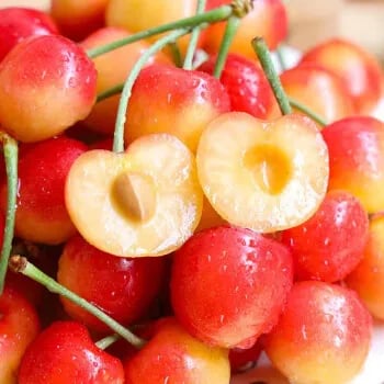 🍒Rainier Cherry Fruit Seeds