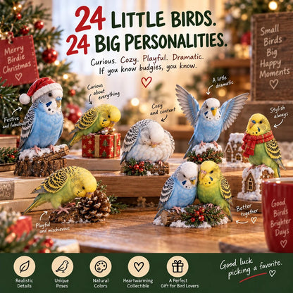 24 Tage Wellensittich-Glück – 24 kleine Vögel, 24 große Persönlichkeiten 🐦❤️