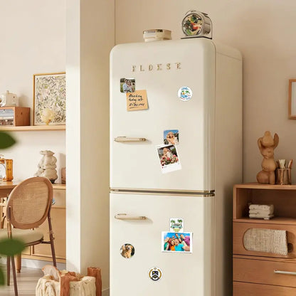 10-Pack Customizable Rectangle Acrylic Refrigerator Magnets