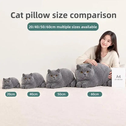 Realistic British Shorthair Cat Plush Throw Pillow