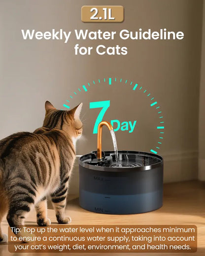 Silent Cat Water Fountain