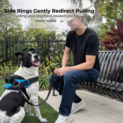 🔥Last Day 50% OFF ❤️No-Pull Dog Harness – 3-Point Leash Control. Reflective & Adjustable