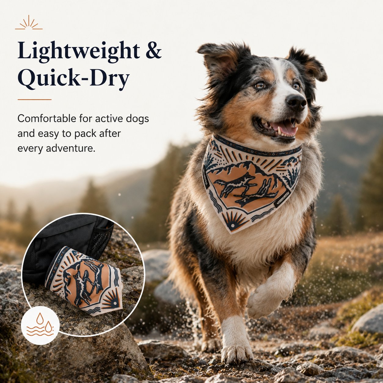 2-in-1 Reversible Dog Bandana Bowl