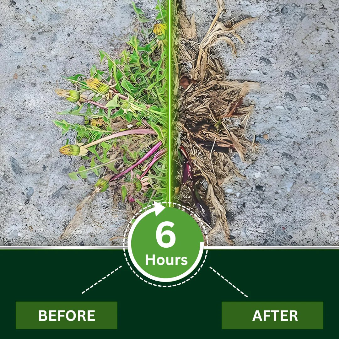 🏆 Professional Dual-Action Herbicide — Kills Toughest Weeds in 6 Hours! Non-Glyphosate Max Strength Formula ✨