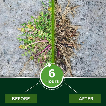 🏆 Professional Dual-Action Herbicide — Kills Toughest Weeds in 6 Hours! Non-Glyphosate Max Strength Formula ✨