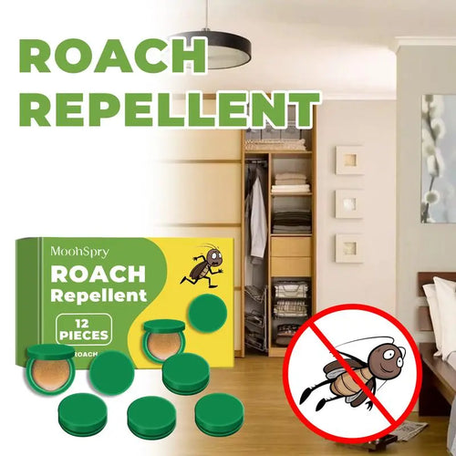 Household Pest Control Concentrate
