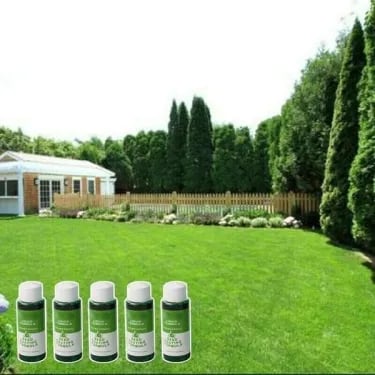🔥🔥Gardening Promotion Save 70%-GreenRevive HydroSeeding Lawn Solution