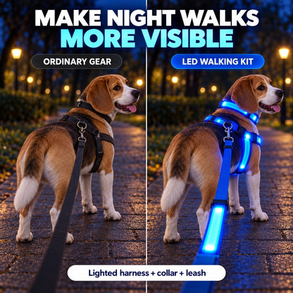 🐕 3-Piece Rechargeable LED Dog Walking Kit ✨ Light-Up Harness, Collar & Leash for Safer Night Walks！！！