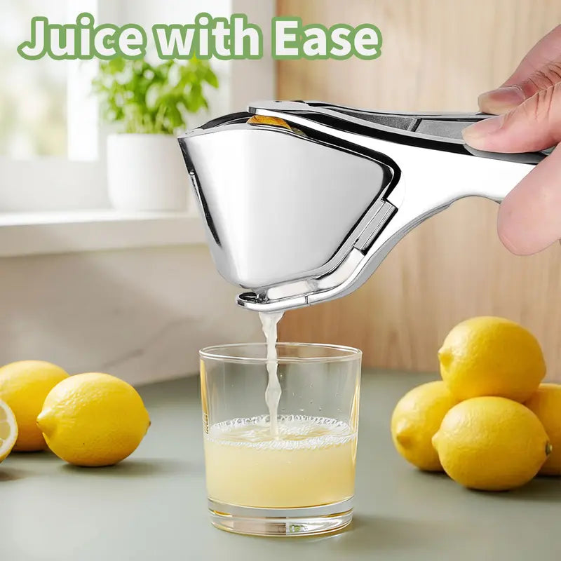 Stainless Steel Citrus Juicer