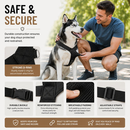 Dog Friendly Co. Harness — Easy-Fit No-Pull Design for Safe, Secure, and Comfortable Walks