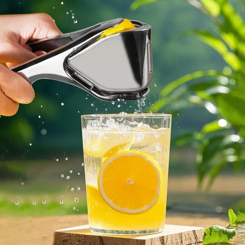 Stainless Steel Citrus Juicer