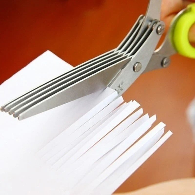 Stainless Steel 5 Blades Scallion Cutter Scissors✂️