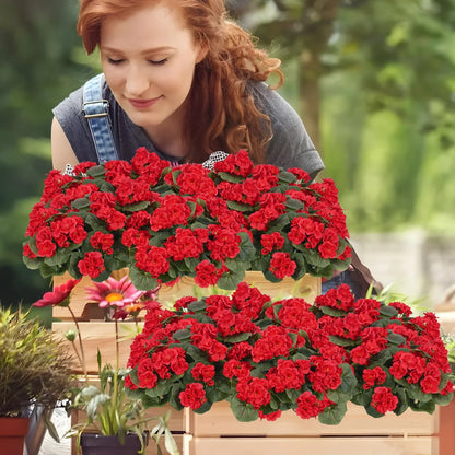 🌺8 Bundles UV Resistant Artificial Geraniums